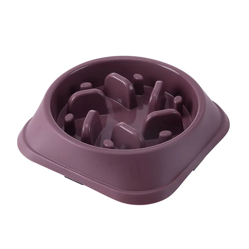 Pet Slow Feeding Bowl